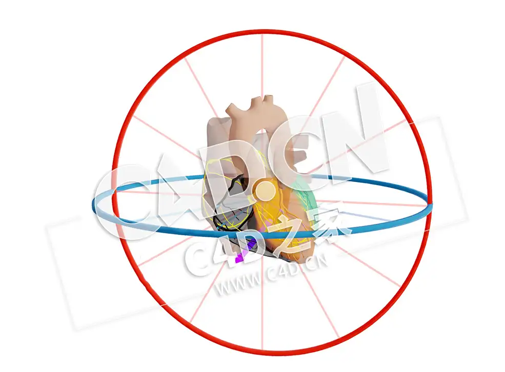 C4D心脏RCA 梗塞与干扰和载体模型 RCA Infarct met Afleidingen en Vector - C4D之家 - 10.jpg