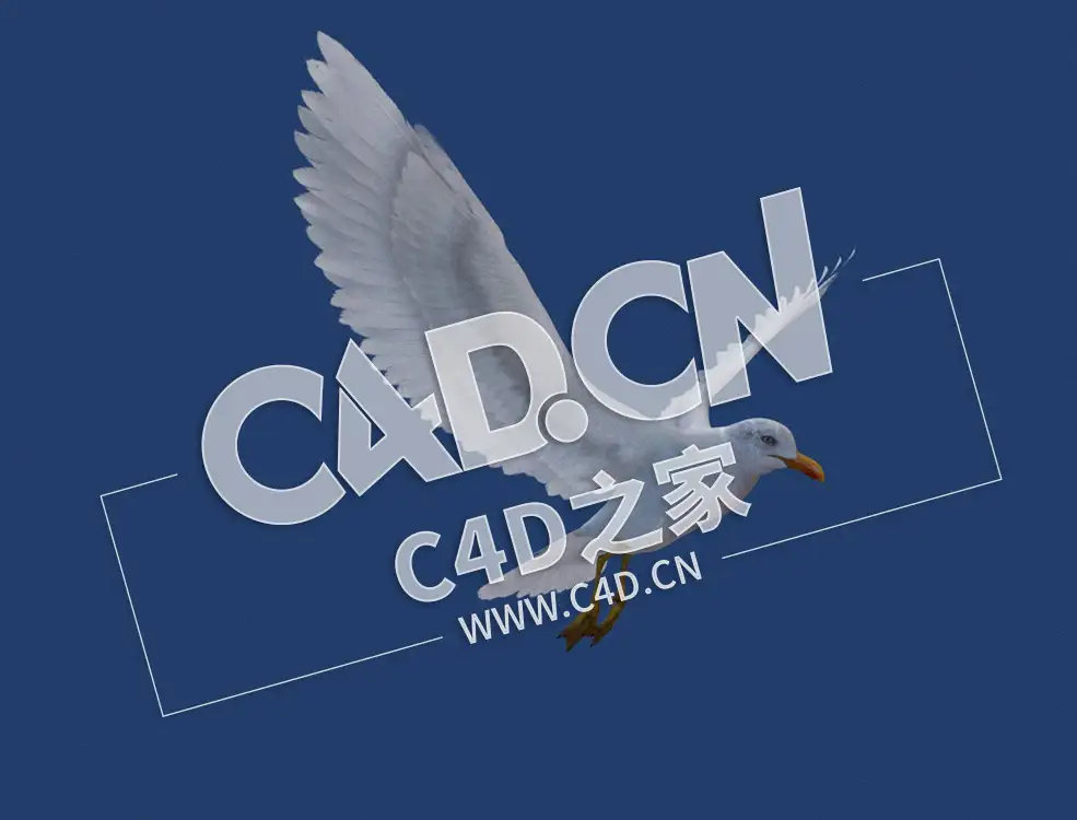 C4D海鸥飞鸟模型 seagul v2