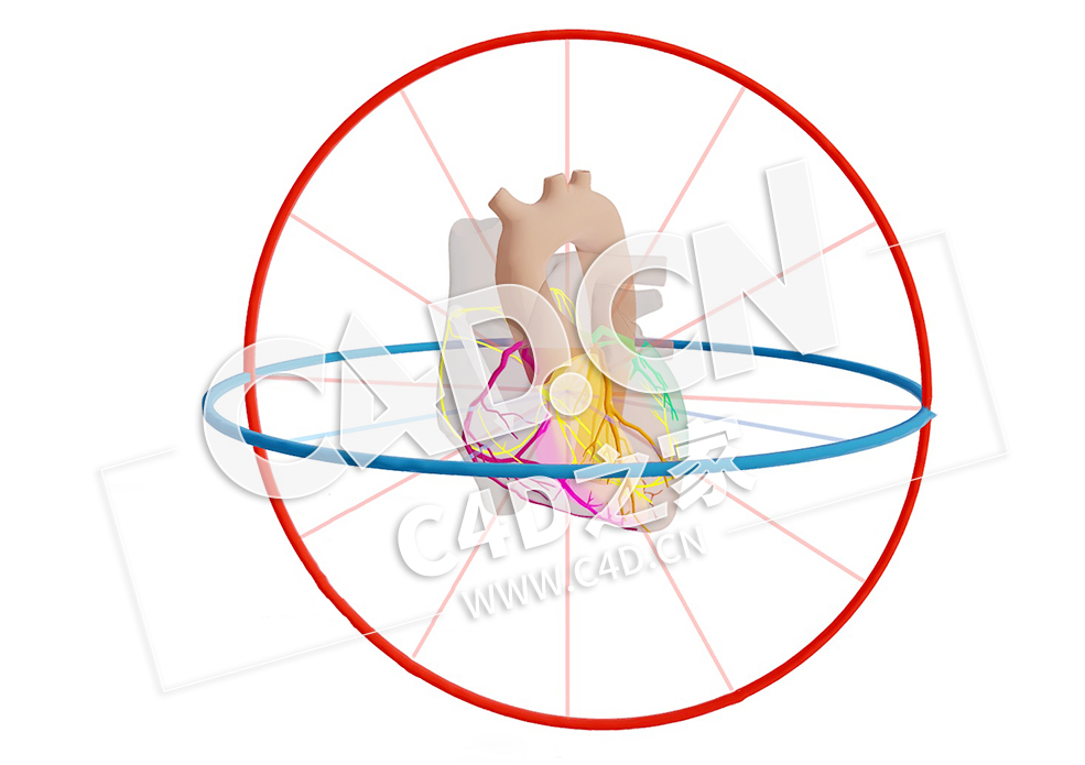 C4D心脏矢量心房激活和分心模型 Vector Atriale Activatie en Afleidingen - C4D之家 - 51.jpg