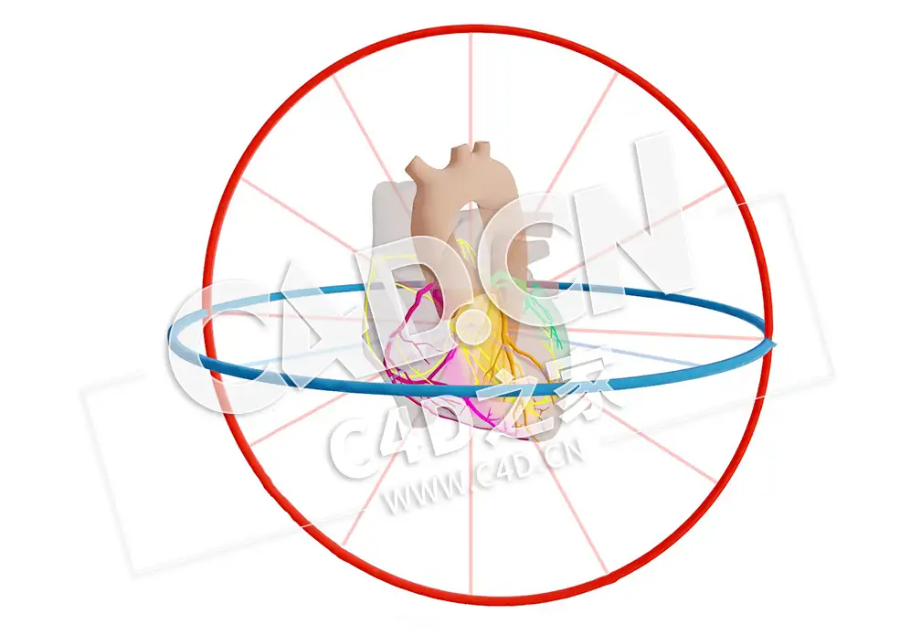C4D心脏矢量心房激活和分心模型 Vector Atriale Activatie en Afleidingen - C4D之家 - 51.jpg