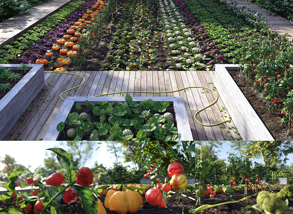 菜园子瓜果蔬菜模型胡萝卜胡椒西红柿草莓南瓜花椰菜 Bio Vegetables Pack