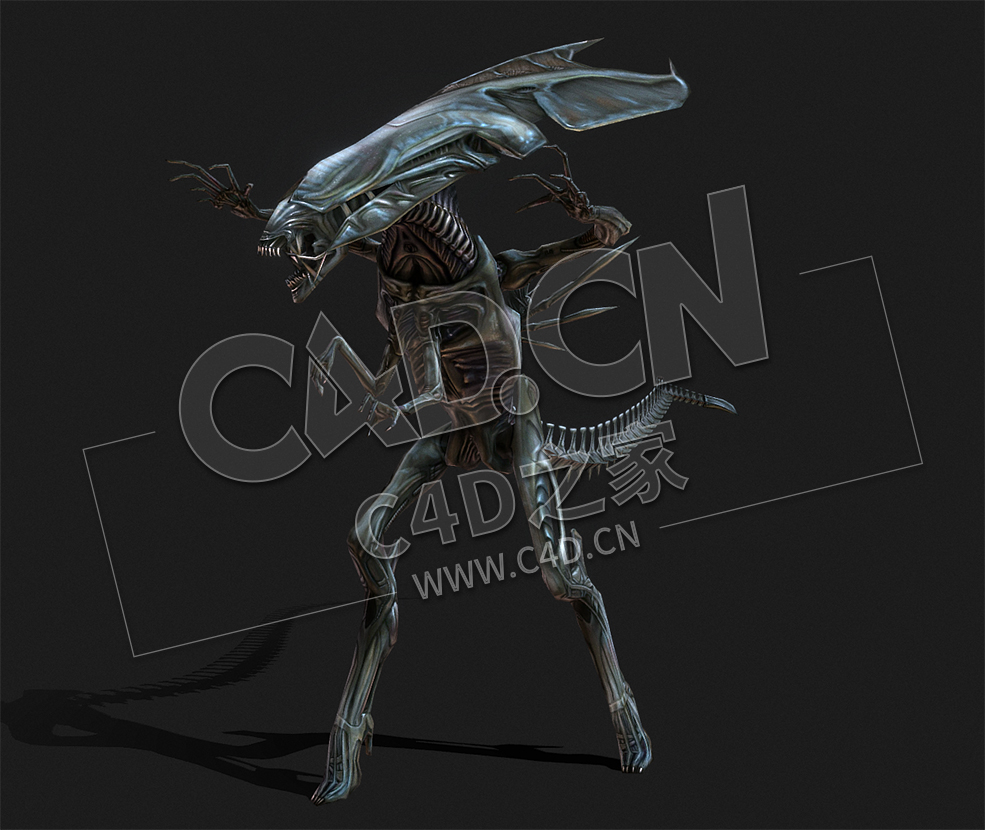 C4D科幻变异异形怪物模型下载 alien queen