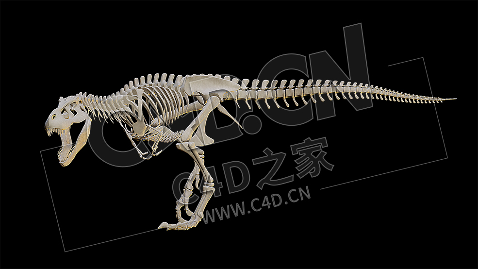 C4D恐龙骨骼霸王龙骨架模型