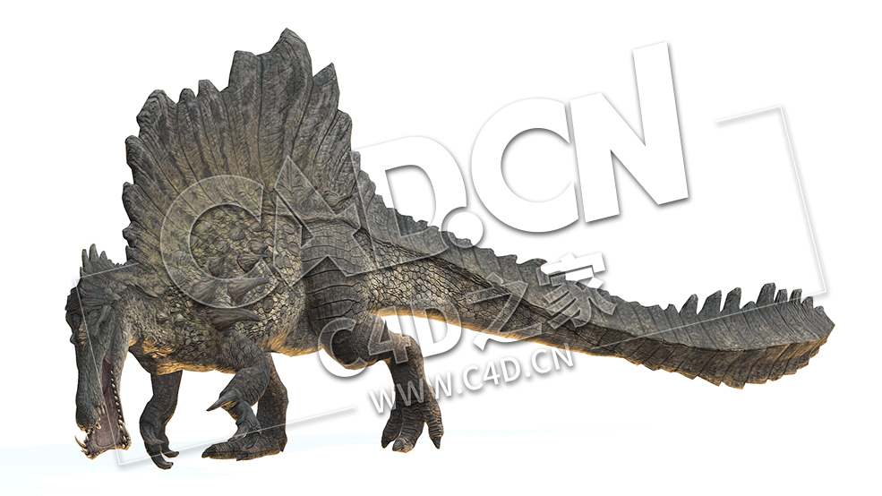 C4D棘龙恐龙模型 Hypo Spino Monster Spinosaurus