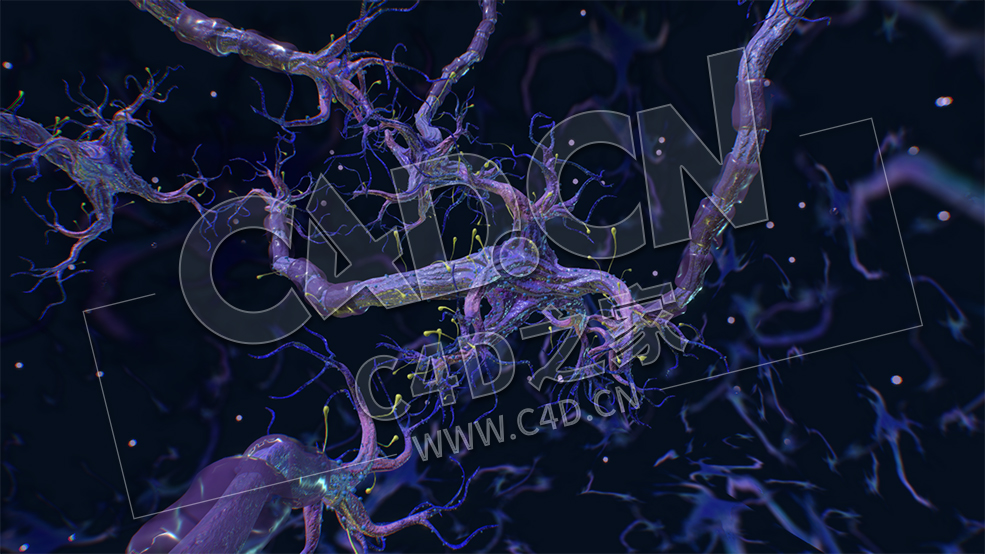 C4D神经元环状神经网络模型 Neurons - C4D之家 - 32.jpg