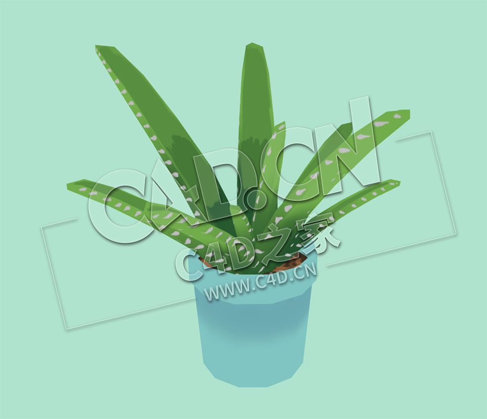 C4D低面卡通芦荟植物盆栽模型 LowpolyAloe - C4D之家 - 59.jpg
