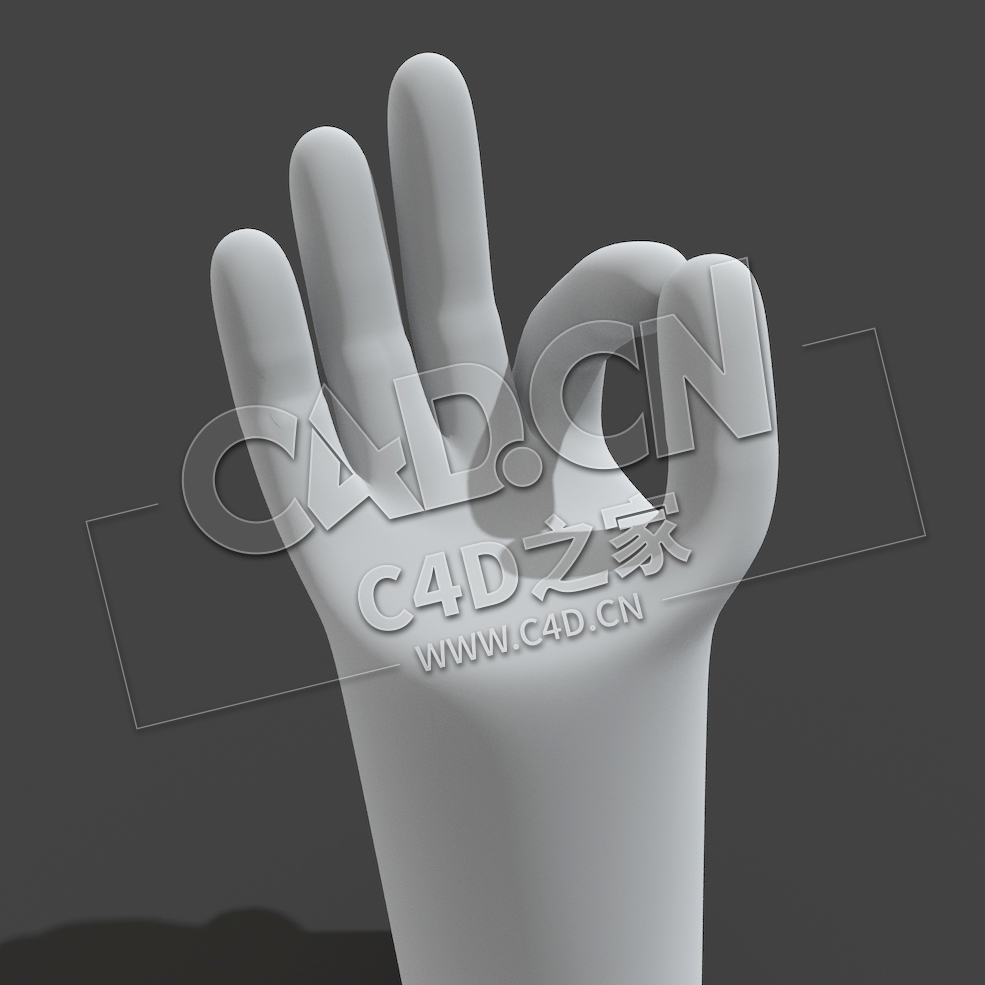 C4D卡通手掌ok姿势肢体绑定模型 - C4D之家 - shou.jpg