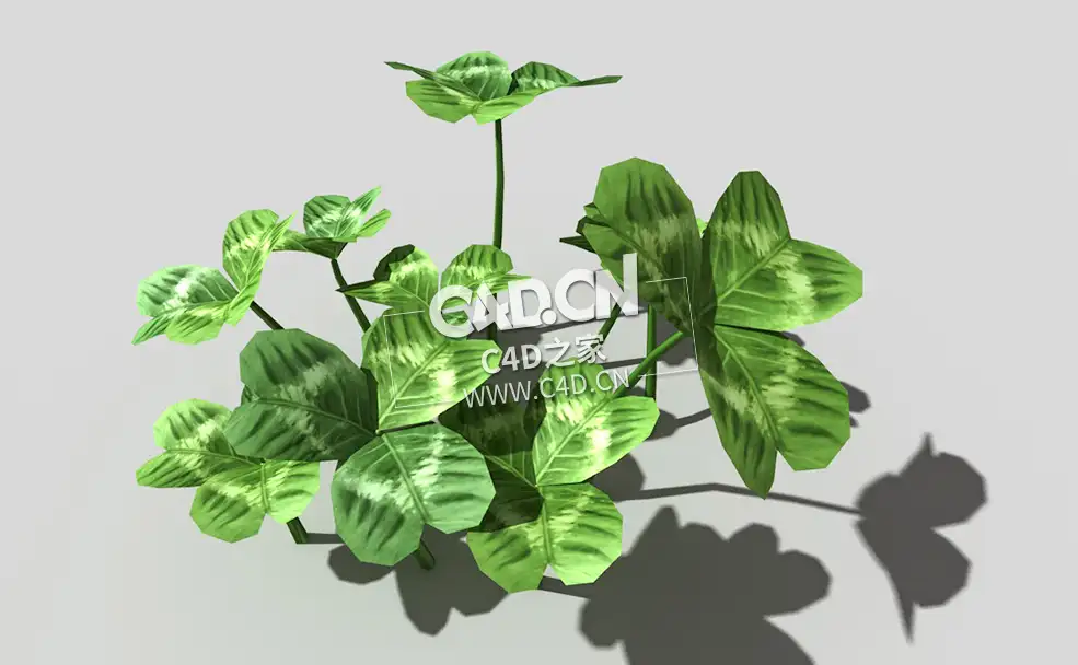 三叶草植物C4D模型 clover-b1 3d model - C4D之家 - 36clover-b1-01.jpg