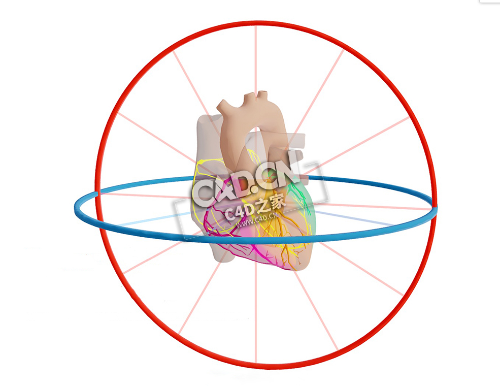 心脏病解剖C4D模型下载 Anatomie van het Hart-Afleidingen en Geleiding - C4D之家 - 16.jpg