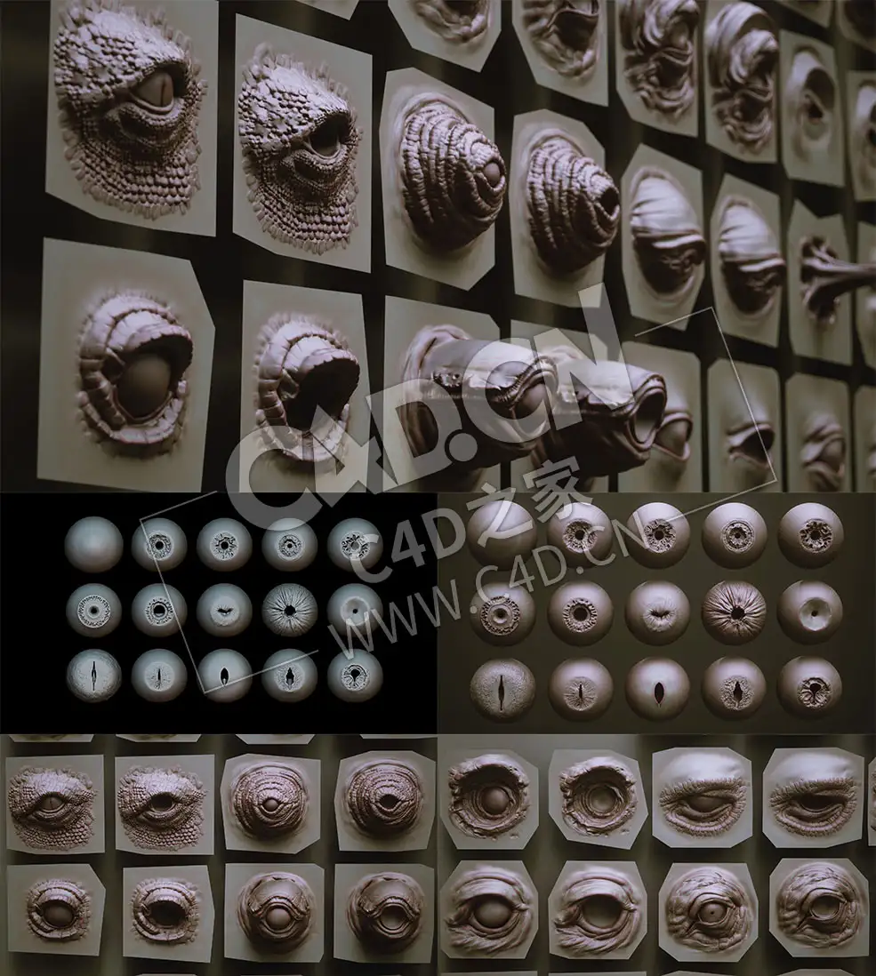 69个怪物动物人物眼睛睛球C4D模型28 Zbrush VDM Creature Eyes/15 Eyeballs IMM Brush