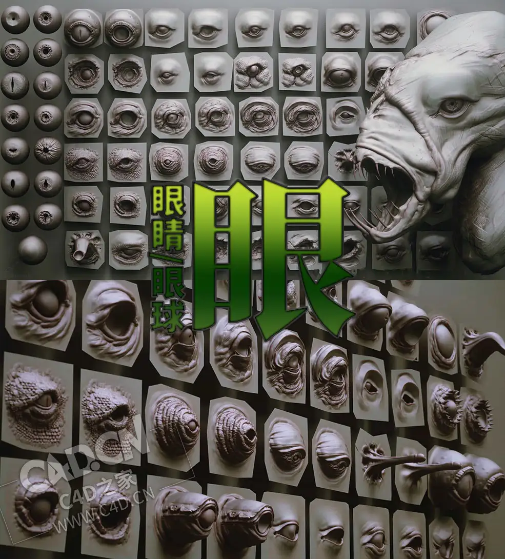 69个怪物动物人物眼睛睛球C4D模型28 Zbrush VDM Creature Eyes/15 Eyeballs IMM Brush - C4D之家 - EYES_THUMBNAIL001.jpg