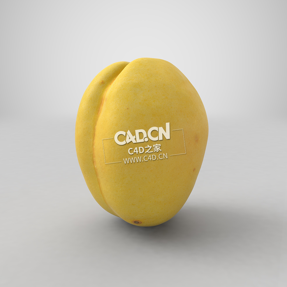 黄杏水果C4D模型Apricot - C4D之家 - 13.jpg