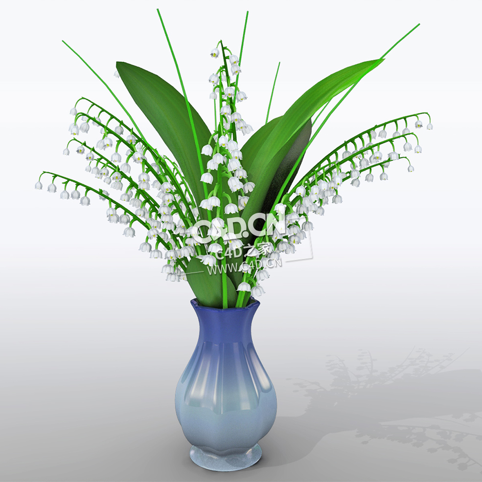 铃兰花瓶插花装饰花卉模型Convalia_Vase - C4D之家 - 18.jpg