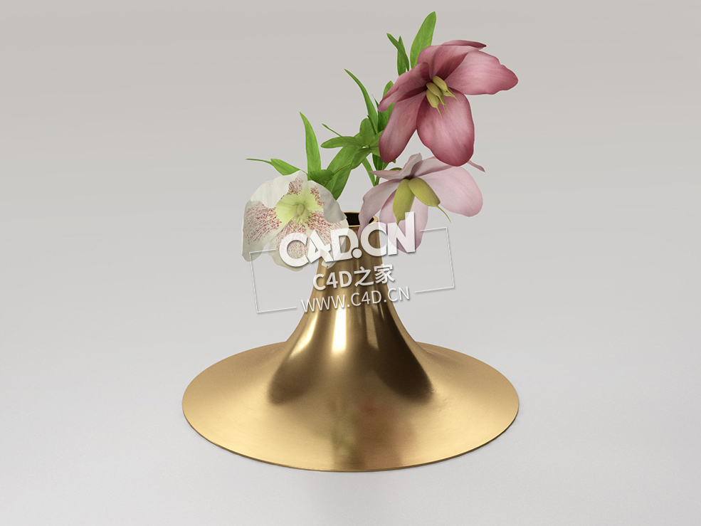 鲜花插花百合装饰花卉C4D模型LigneRoset_Kaschkasch_c4d