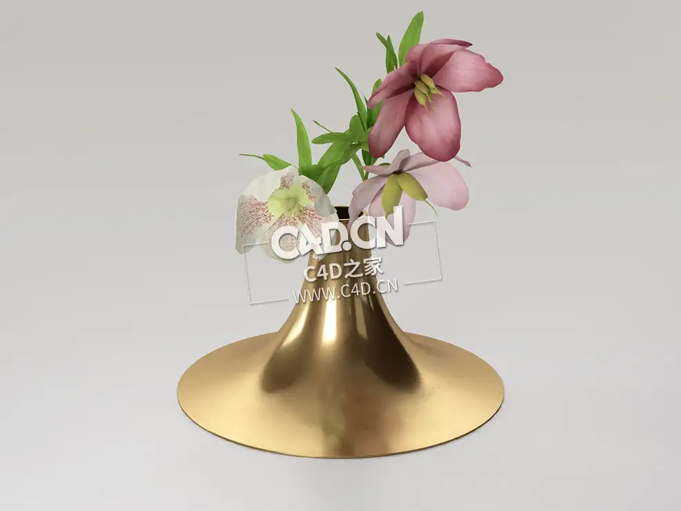 鲜花插花百合装饰花卉C4D模型LigneRoset_Kaschkasch_c4d