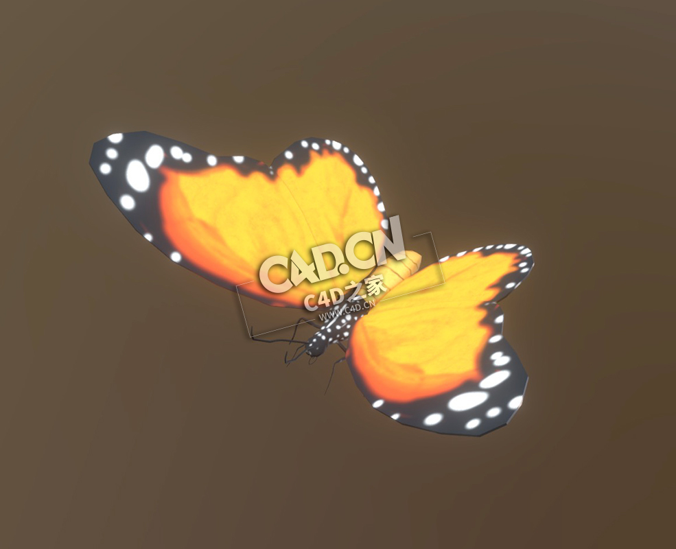 蝴蝶C4D模型下载 Butterfly-8