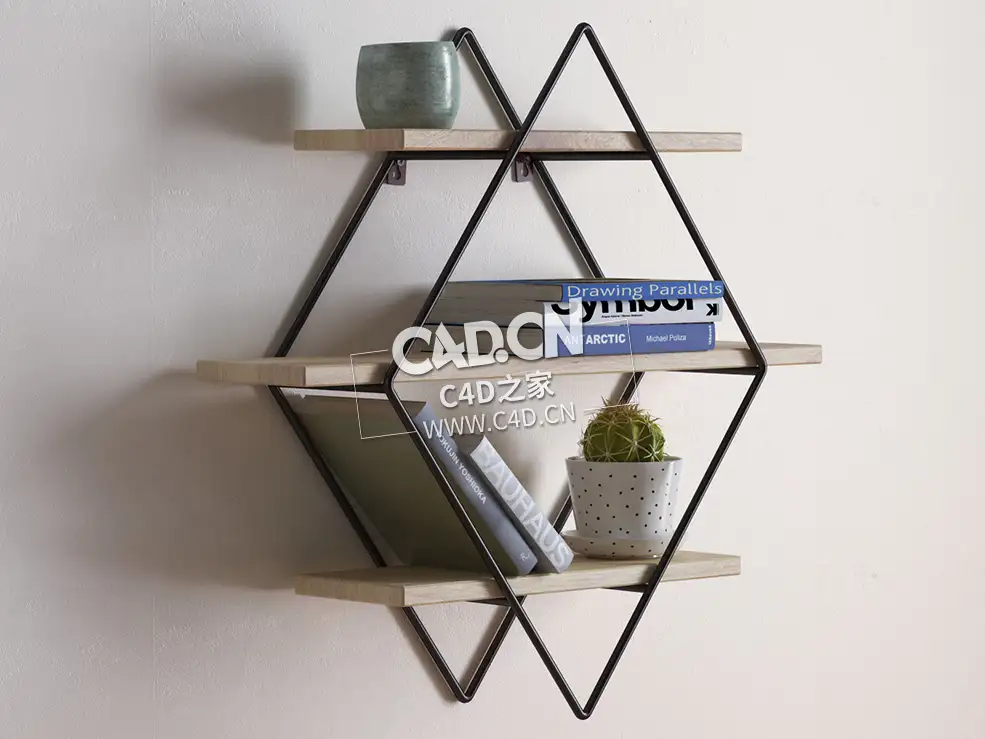 创意壁挂式菱形书架C4D模型Urban_Outfitters_Diamond_Cross_planes_shelf_c4dfiles - C4D之家 - 49.jpg