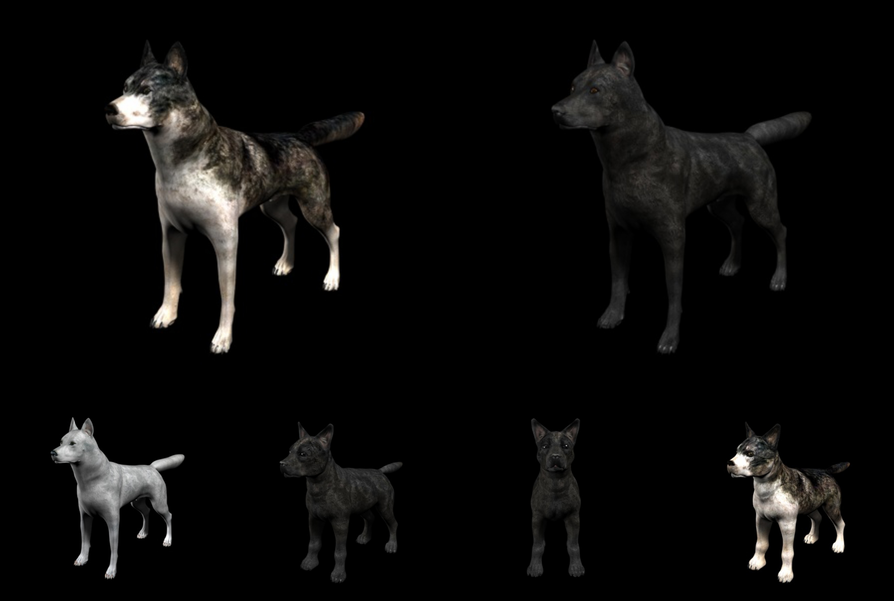 6只包含绑定的野狼小狼崽C4D模型 Wolf 3d model