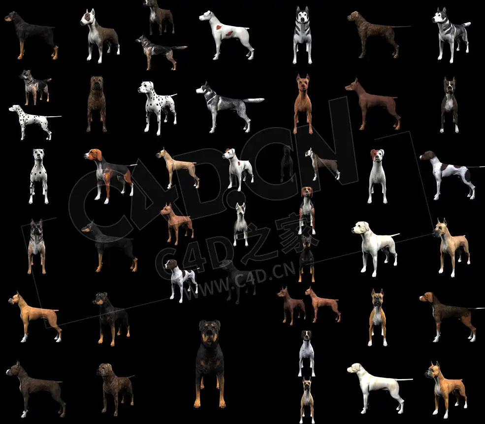 18只宠物狗家犬C4D绑定模型 dog 3d model - C4D之家 - 未命名.jpg