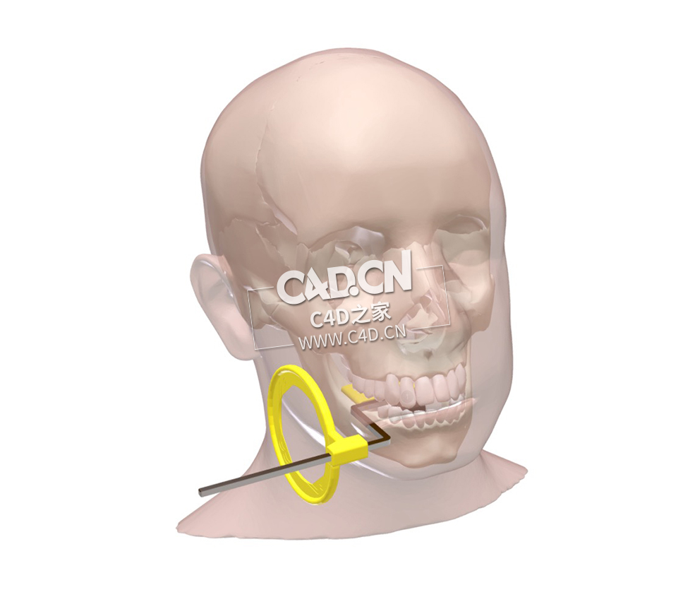 牙科口腔内X光位置-空注释C4D模型 Dental Intra oral X-ray Pos - empty annotation-2