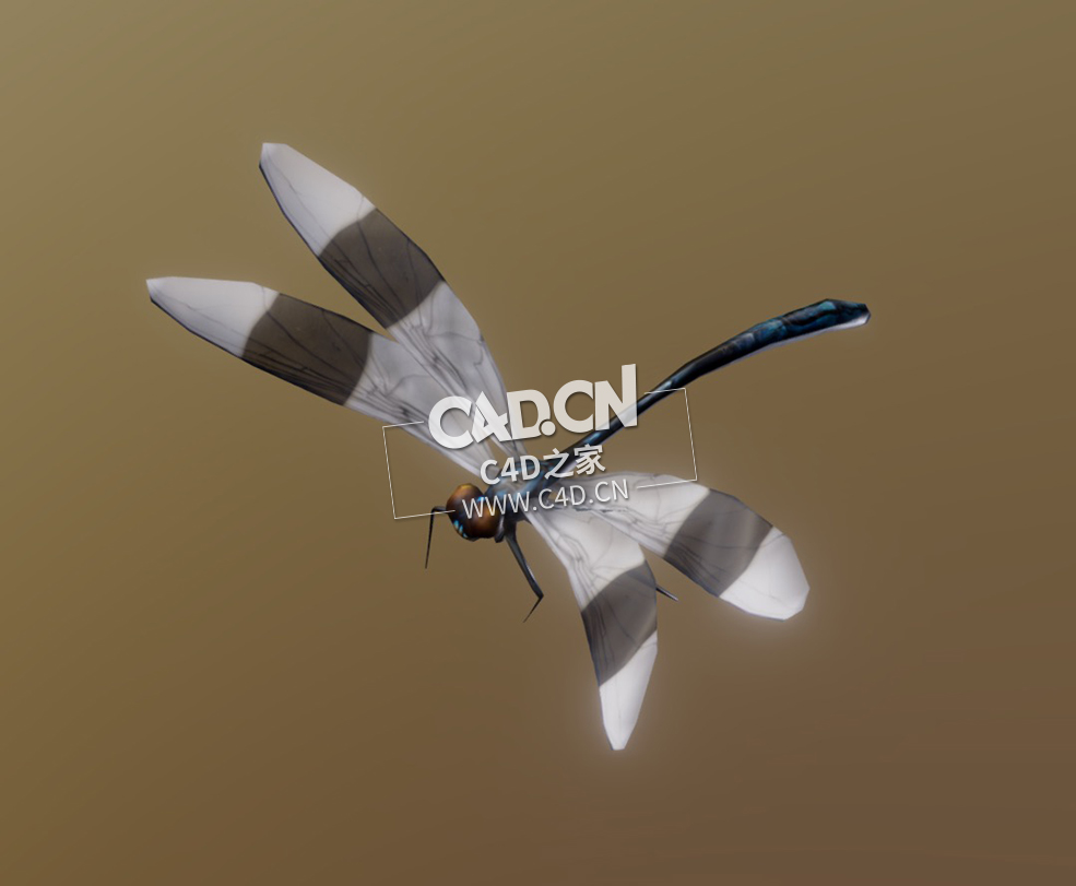蜻蜓飞翔动画C4D模型 Dragonfly