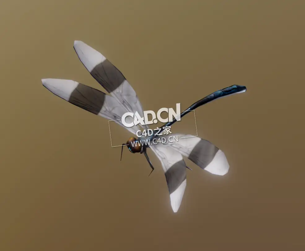 蜻蜓飞翔动画C4D模型 Dragonfly