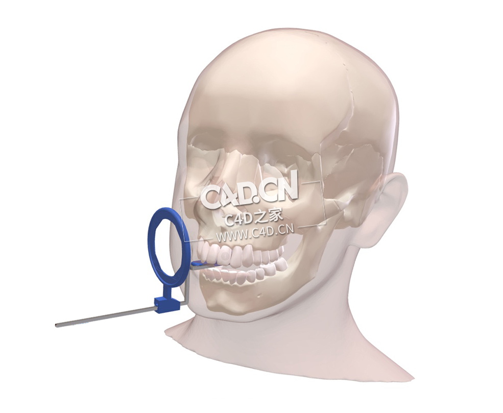 口腔内X射线位置-空注释C4D模型 Dental Intra Oral X-ray Pos - empty annotation - C4D之家 - 31.jpg