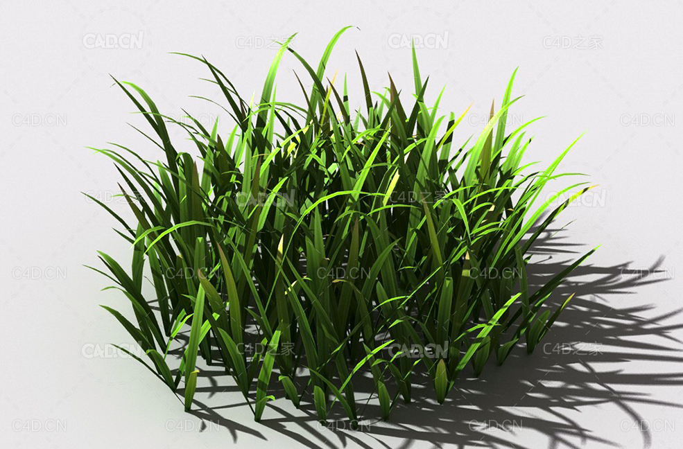 草坪草地绿草植物C4D模型 lawn-grass-a1 - C4D之家 - 21.jpg