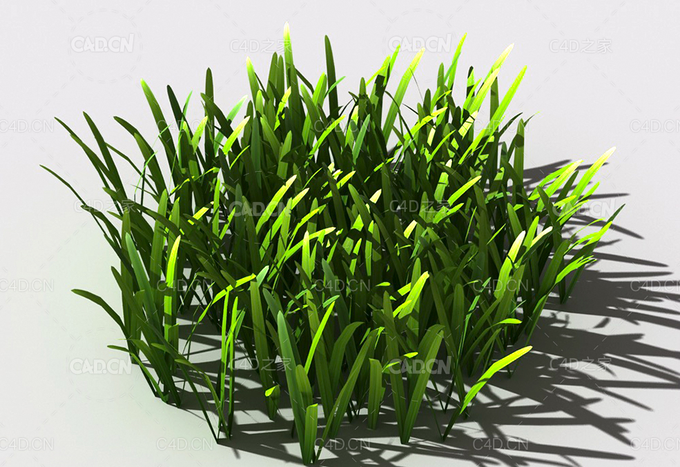 草坪草地绿草植物C4D模型 lawn-grass-c1 - C4D之家 - 25.jpg