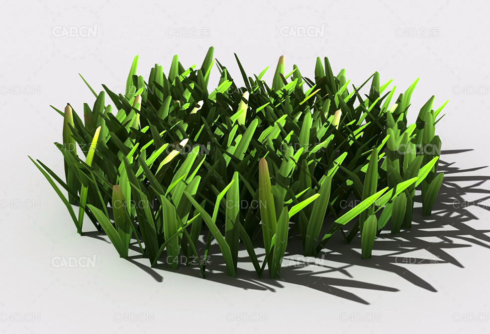 草坪草地绿草植物C4D模型 lawn-grass-d2 - C4D之家 - 28.jpg