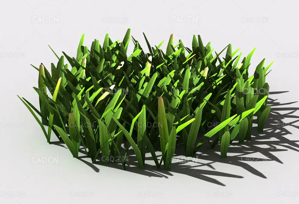 草坪草地绿草植物C4D模型 lawn-grass-d2 - C4D之家 - 28.jpg
