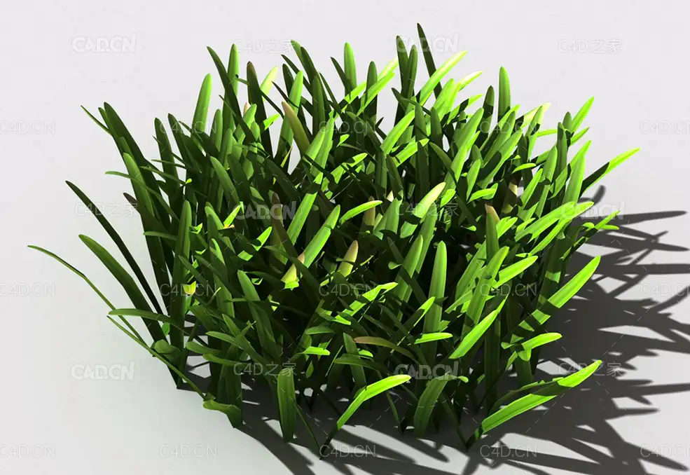 草坪草地绿草植物C4D模型 lawn-grass-b2 - C4D之家 - 24.jpg