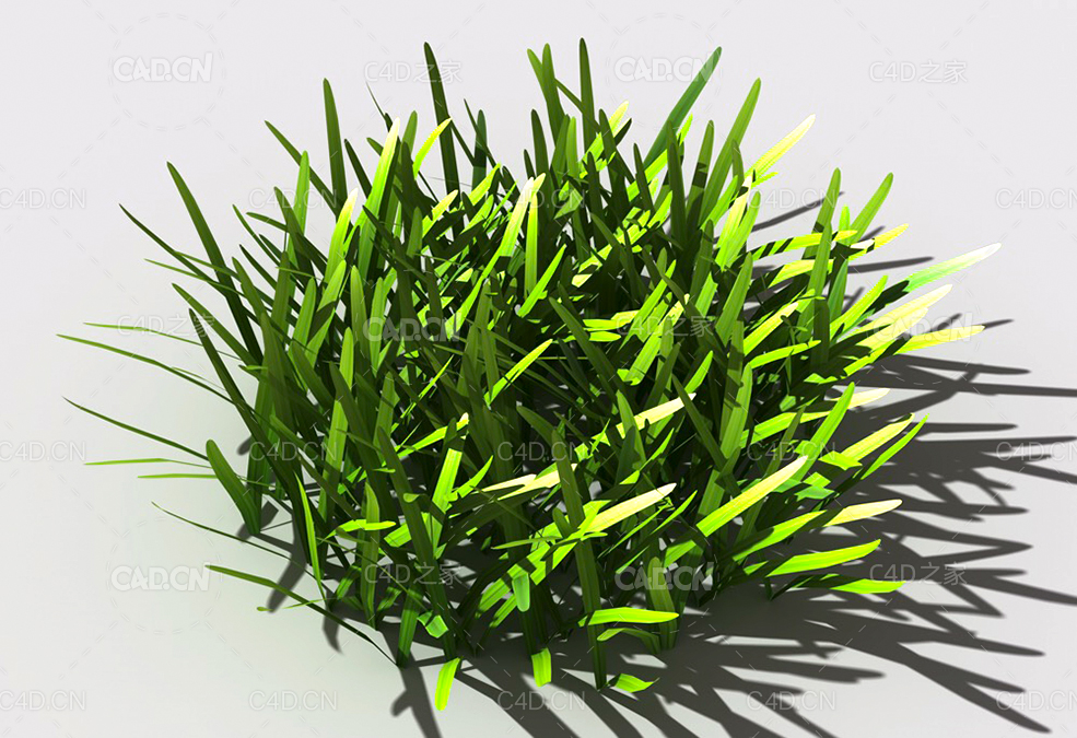 草坪草地绿草植物C4D模型 lawn-grass-c2 - C4D之家 - 26.jpg