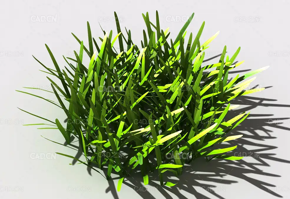 草坪草地绿草植物C4D模型 lawn-grass-c2 - C4D之家 - 26.jpg