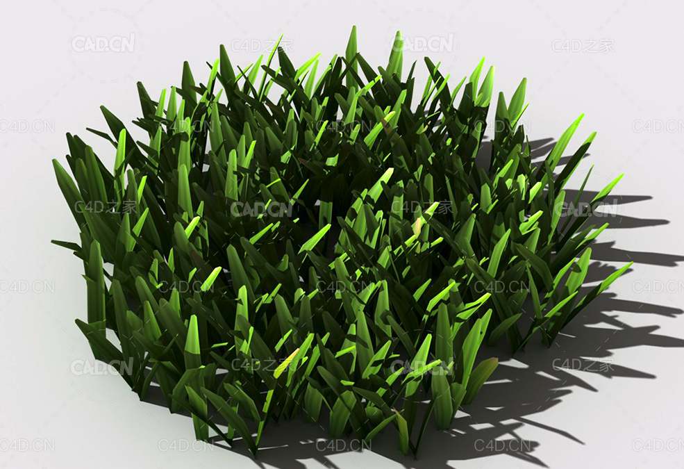 草坪草地绿草植物C4D模型 lawn-grass-d1 - C4D之家 - 27.jpg