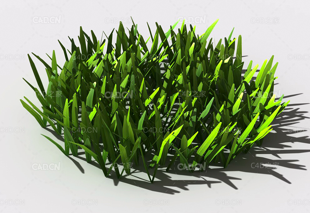 草坪草地绿草植物C4D模型 lawn-grass-e2 - C4D之家 - 30.jpg