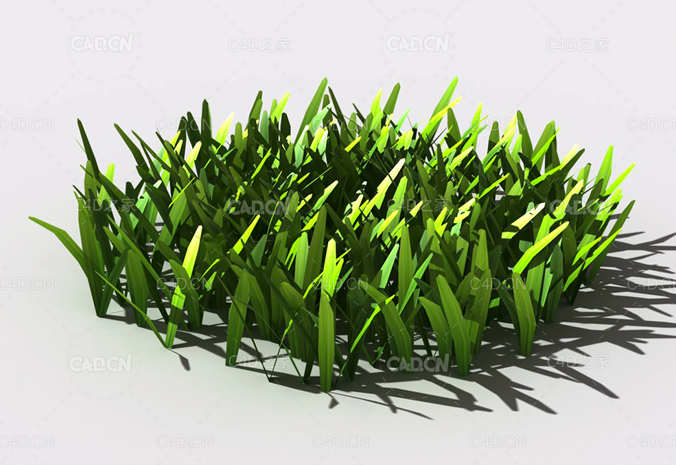 草坪草地绿草植物C4D模型 lawn-grass-e1 - C4D之家 - 29.jpg