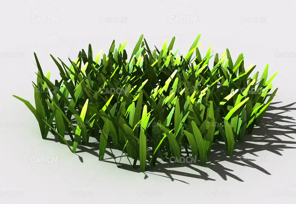 草坪草地绿草植物C4D模型 lawn-grass-e1 - C4D之家 - 29.jpg