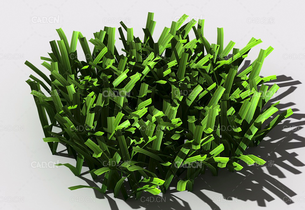草坪草地绿草植物C4D模型 lawn-grass-f2 - C4D之家 - 32.jpg