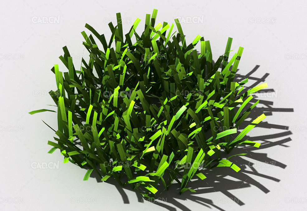 草坪草地绿草植物C4D模型 lawn-grass-g2 - C4D之家 - 34.jpg