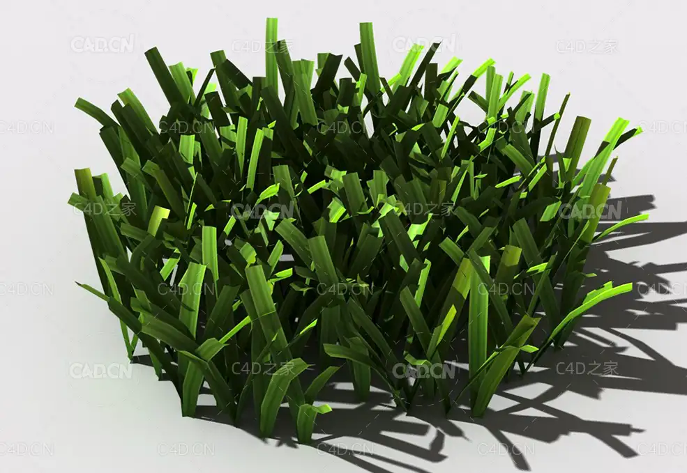 草坪草地绿草植物C4D模型 lawn-grass-f1 - C4D之家 - 31.jpg