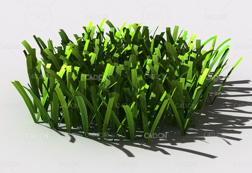 草坪草地绿草植物C4D模型 lawn-grass-g1 - C4D之家 - 33.jpg