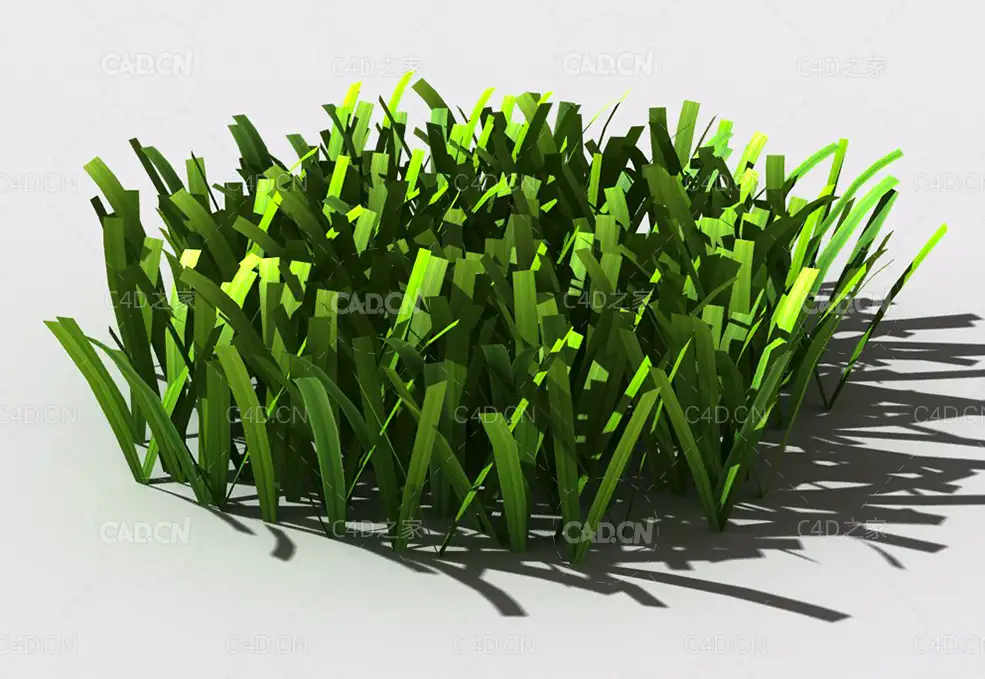 草坪草地绿草植物C4D模型 lawn-grass-g1 - C4D之家 - 33.jpg