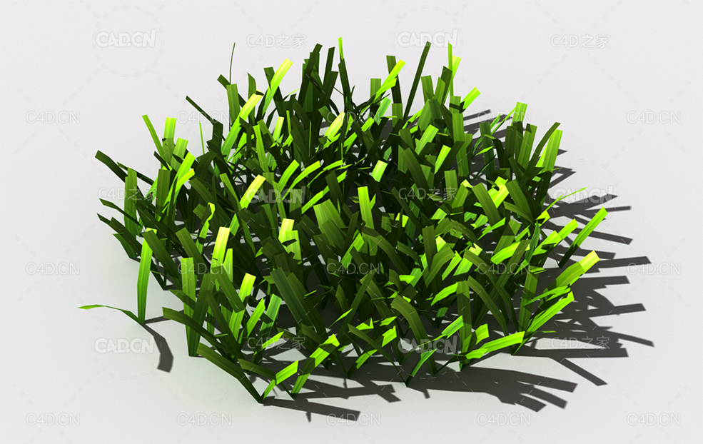 草坪草地绿草植物C4D模型 lawn-grass-i1 - C4D之家 - 37.jpg