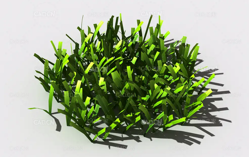 草坪草地绿草植物C4D模型 lawn-grass-i1 - C4D之家 - 37.jpg