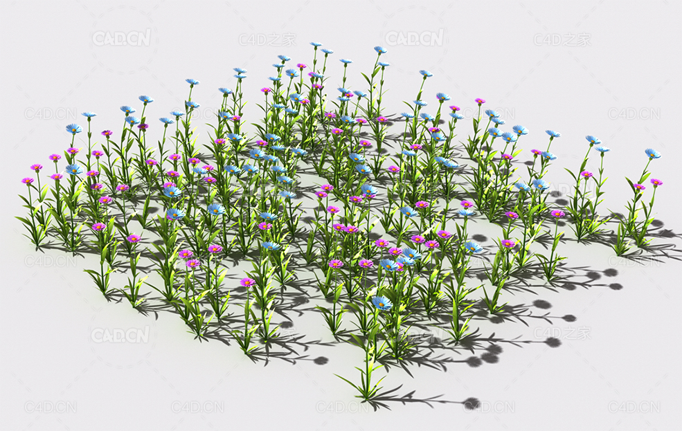 普通花草植物C4D模型 pattern_common-flower-4 - C4D之家 - 67.jpg