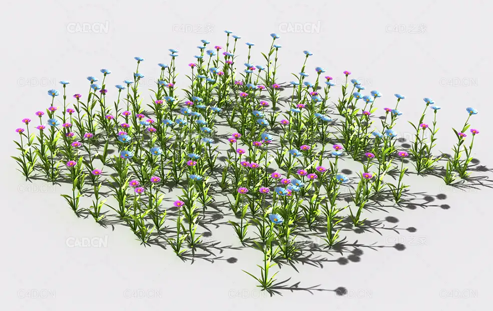 普通花草植物C4D模型 pattern_common-flower-4 - C4D之家 - 67.jpg