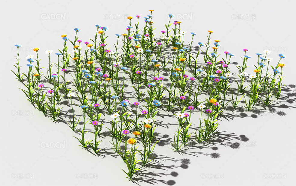 普通花草植物C4D模型 pattern_common-flower-1 - C4D之家 - 64.jpg