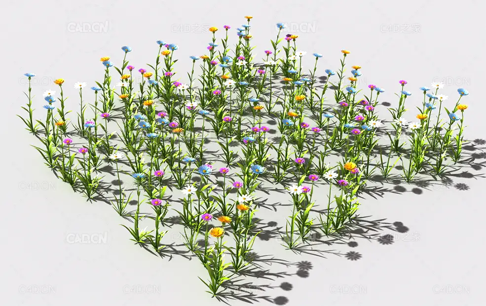 普通花草植物C4D模型 pattern_common-flower-1 - C4D之家 - 64.jpg