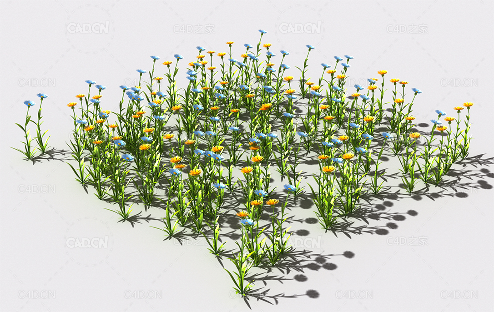 普通花草植物C4D模型 pattern_common-flower-5 - C4D之家 - 68.jpg